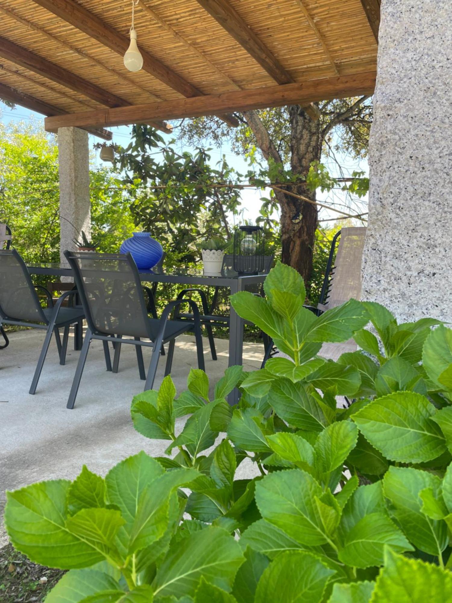 Bent'E Mari Bed and Breakfast Girasole Buitenkant foto